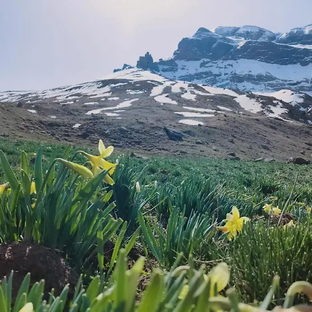 La Postal De Collarada Apartament *